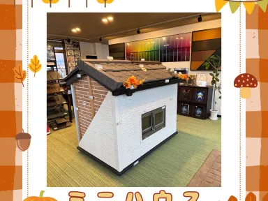 ミニハウス展示しています